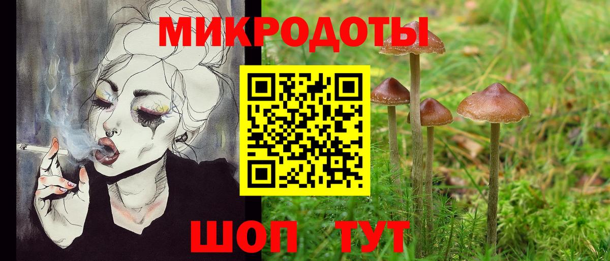Гулькевичи  Галлюциногенные грибы Psilocybe  Вход с VPN 