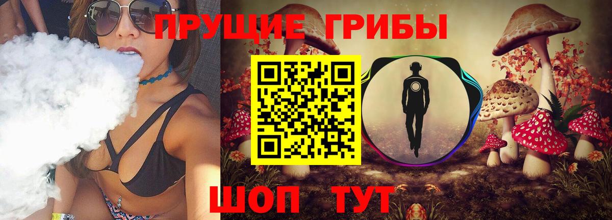 Псилоцибиновые грибы прущие грибы Гулькевичи
